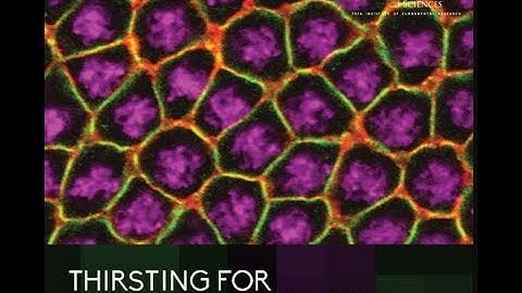 Discussion Session by Kaustuv Sanyal & Vijaykumar krishnamurthy