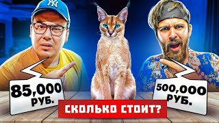 Угадай Цену, Чтобы Выжить! Дорого Vs Дёшево Челлендж