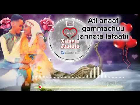 Xalayaa Jaalala Abbaa Mana Gaariif