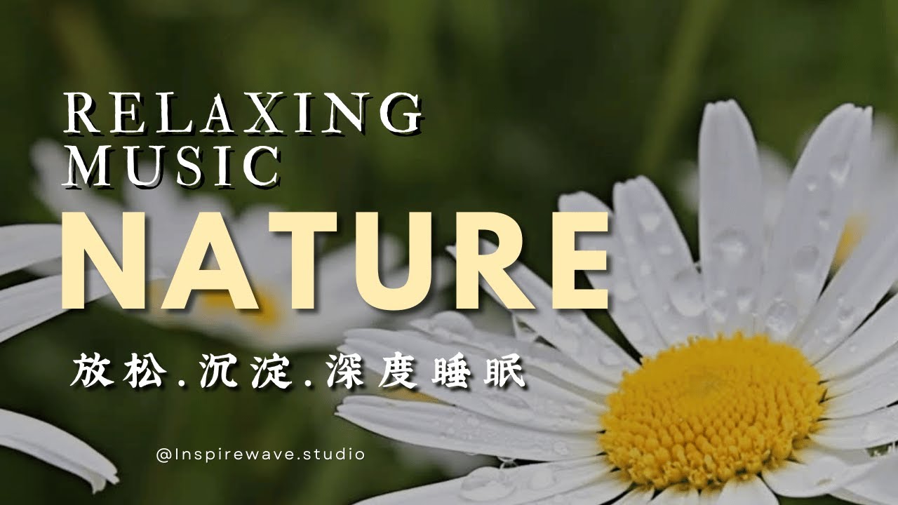 1-HOUR 4K Relaxing Piano Music, Deep Sleep, Calm Meditation,Study & Focus | 1小时平静钢琴音乐,疗愈,减压,深度睡眠 🌊🌿🎧 1-HOUR 4K Relaxing Piano Music, Deep Sleep, Calm Meditation,Study & Focus | 1小时平静钢琴音乐,疗愈,减压,深度睡眠 🌊🌿🎧