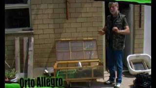Orto Allegro n. 2 Autoproduzione delle piante - La semina