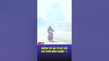 Đốt rơm rạ trên đồng ruộng, lợi bất cập hại | Hà Tĩnh TV