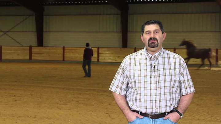 Tranquility Supplement for Horses by Mark DePaolo, DVM