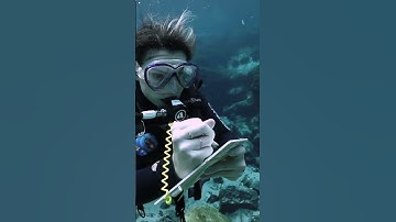 The Best Scuba Regulators of 2023 Reviewed