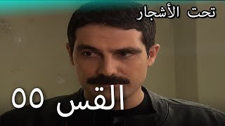 55 سنوات الضياع