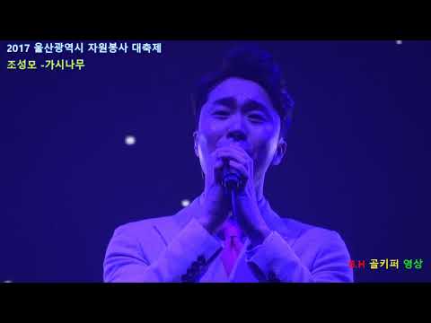 조성모- 가시나무.2017 12 07 울산광역시 자원봉사 대축제 .B.H 골키퍼 영상