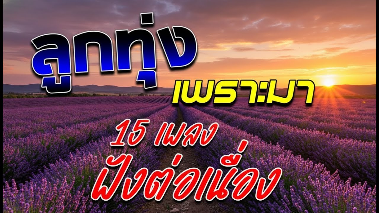 ฟังเพลงลูกทุ่งเพราะๆ 🌾 ออนไลน์ชิลๆ อินดี้เก่าใหม่ ซึ้งๆ เหมาะพักผ่อนยาวๆ