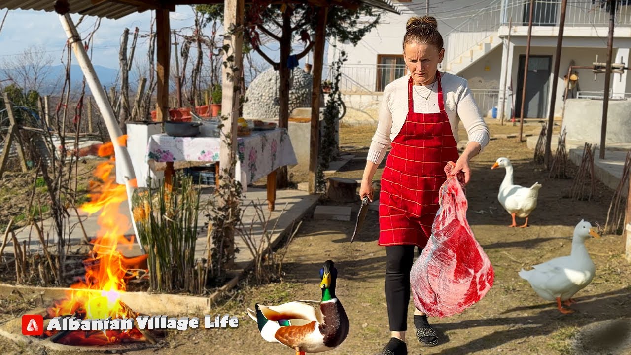 Savoring Tradition: Albanian Stuffed Bell Peppers 🌶️🇦🇱