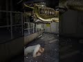 What's going on? #gameplay #gaming #livestream #blackmesa #gordonfreeman #halfLife