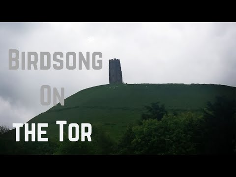 Wideo: Glastonbury Thor - Alternatywny Widok