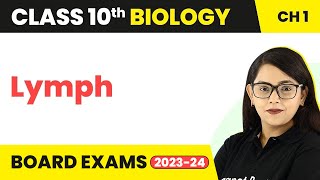 Lymph - Life Process | Class 10 Biology