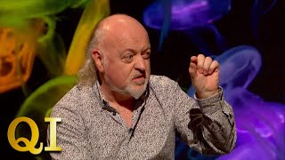Download Lagu Bill Bailey Runs Britain's Smallest Zoo | QI MP3 Download Lagu Bill Bailey Runs Britain's Smallest Zoo | QI MP3