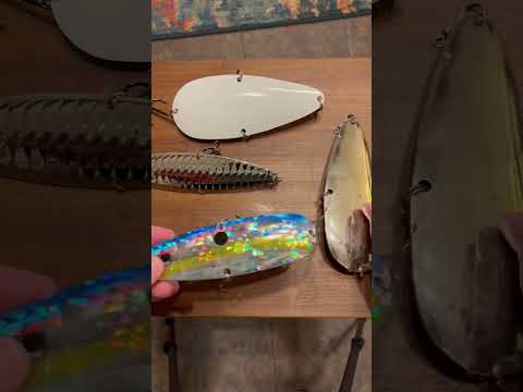 Overlooked Big Bass