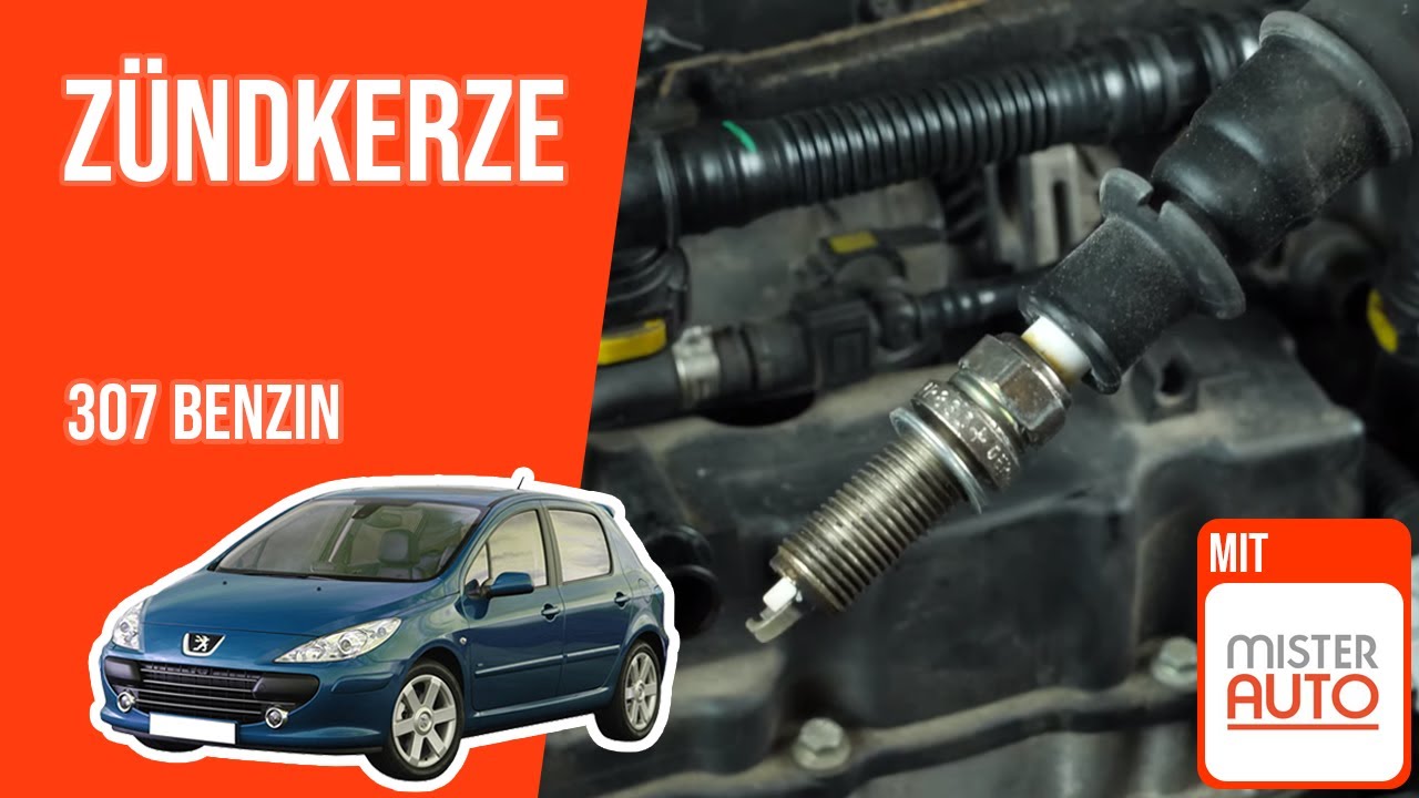 Abgassystem defekt peugeot 307 Abgassystem defekt peugeot 307