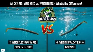 The REAL Difference Between Weightless & Weighted Wacky Rigs (Must-Know Tips!)
