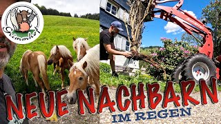 FarmVLOG#284 - Hochsilo nachfüllen und genug Regen