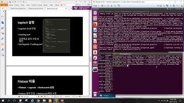 [SWTT] Elastic Search 초보편