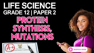 Grade 12 Life Sciences |  Paper 2 | Scientific Investigations, Protein Synthesis & Mutations