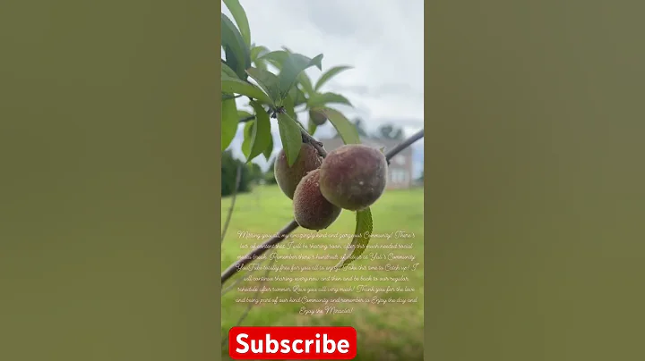 Hundreds of videos at Yali’s Community totally free for you to enjoy! Take this time to Catch up!