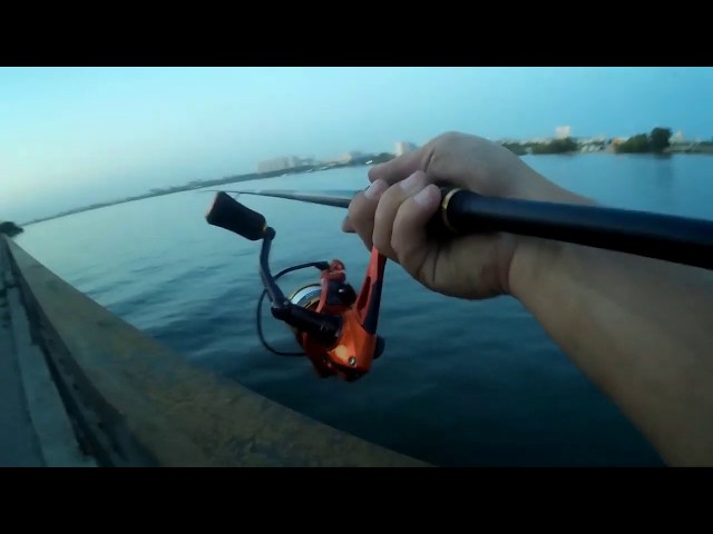 МОРМЫШИНГ. STREET FISHING. MAXIMUS PULSE 732SUL