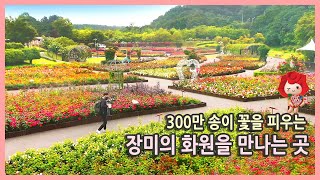 울산대공원 아쿠아시스 영상