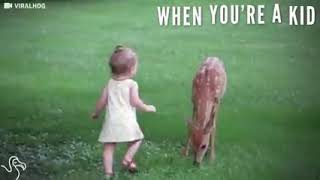 Deer wander into a yard _And the find friends