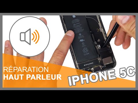 Haut parleur iPhone 5C