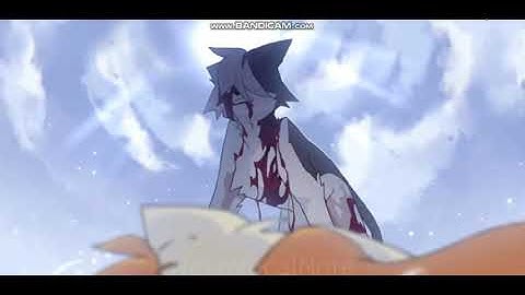 Warrior cats Swiftpaw AMV-In The End