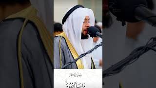 جزء من سوره ابراهيم احمد النفيس تلاوه رائعه