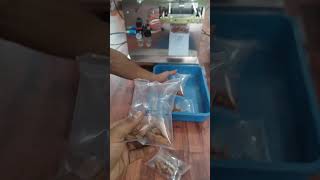 AUTOMATIC POUCH PACKING MACHINE 100 GM DOUBLE HEAD WITH NITROGEN FLUSHING AND BATCH CODING MACHINE