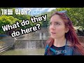 What's outside of Seoul? 🇰🇷 Rural Island in South Korea [자막포함]