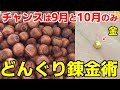 元手0円から金を作る！拾ったどんぐりにあることをしたらメルカリで完売してヤバイ