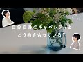 キャパは広げるよりも、深める?40代の働く主婦トーク【湯あがりチャンネル】第58夜 ラジオ / 仕事 / 家事 / 暮らし