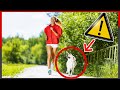 ¿Es MALO salir a CORRER con tu PERRO? 🏃‍♀️🚨 - ¿Cómo DEBES HACERLO? ✅