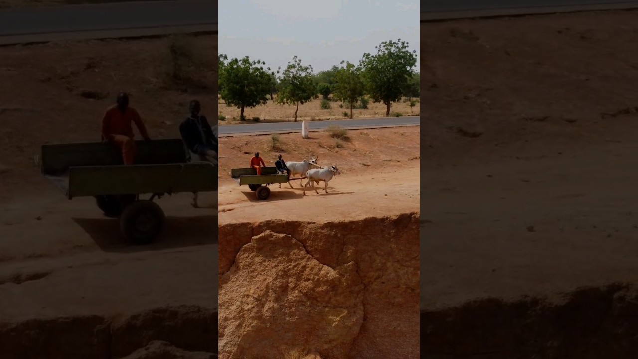 Unbelievable Sights In Nigeria shortsfeed shorts YouTube Unbelievable Sights In Nigeria shortsfeed shorts YouTube