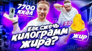 Что если сжечь КИЛОГРАММ жира? / Научные нубы 2.0