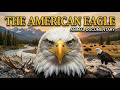🦅 American Eagle Documentary | Ruler of the Sky 🏔️🔥 | Incredible Eagle Facts &amp; Hunting Skills