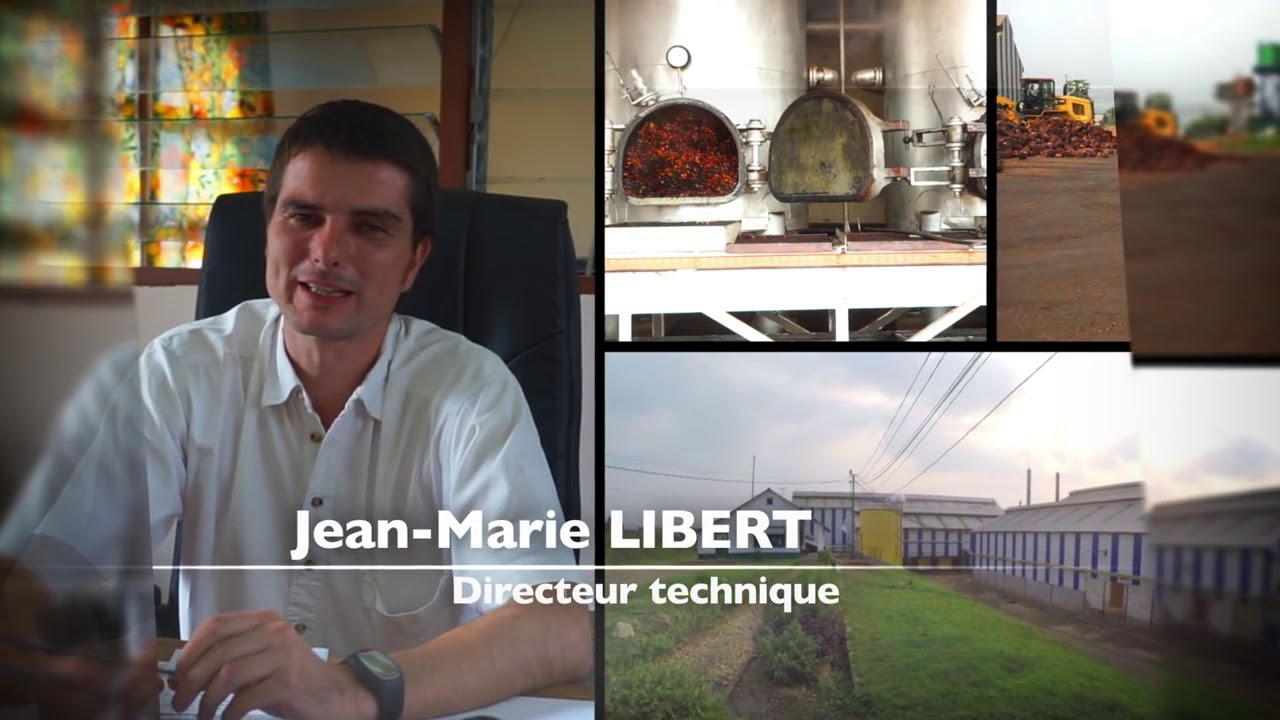 Brabanta SA   Plantation de Mapangu