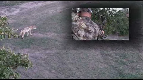 Coyote vs Rage Broadhead.wmv