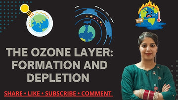 The Ozone Layer: Formation & Depletion