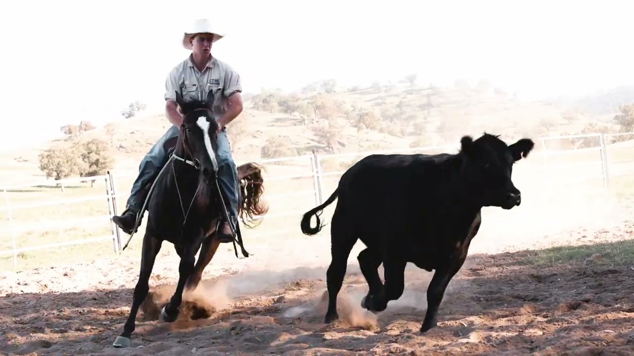 Bushgrove Imagine That