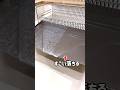 ダイソー商品で頑固な水垢が劇的にピカピカに