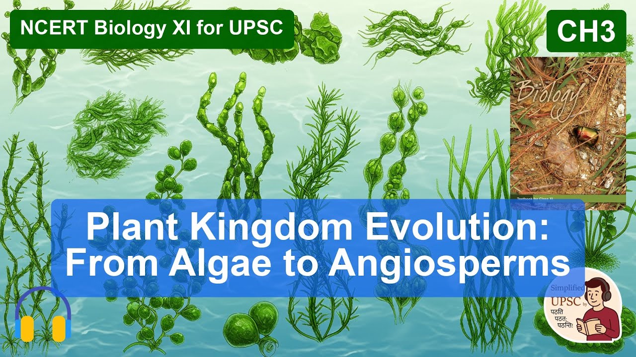 CH3 Plant Kingdom Evolution: From Algae to Angiosperms NCERT Biology XI ...