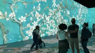 Tour “Beyond van Gogh: The Immersive Experience”