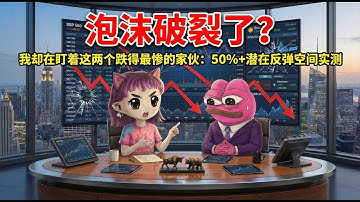 AI 泡沫破裂了？我却在盯着这两个跌得最惨的家伙：50%+ 潜在反弹空间实测