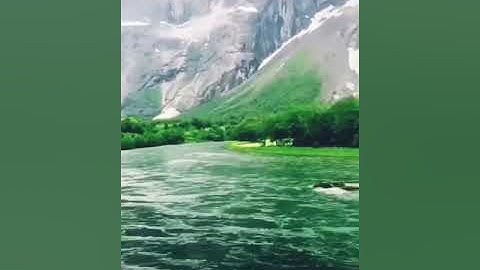 {اللَّهُ نُورُ السَّماَواَتِ وَالْأَضِ} ....مقطع من سورة النور 🌷🌿