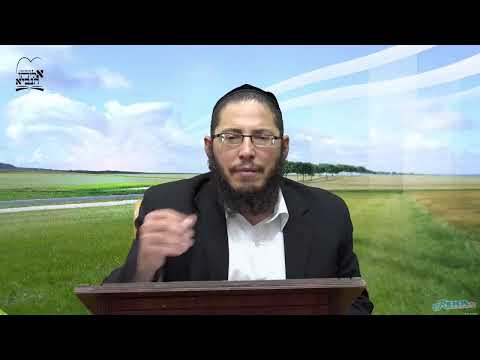 שידור חי של קו ההלכה הספרדי