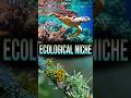 Ecological Niche