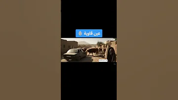 عين قاوية يالطيف هههه اكسبلور مراوغات Automobile سطيف برشلونة ضحك Funny ترند 