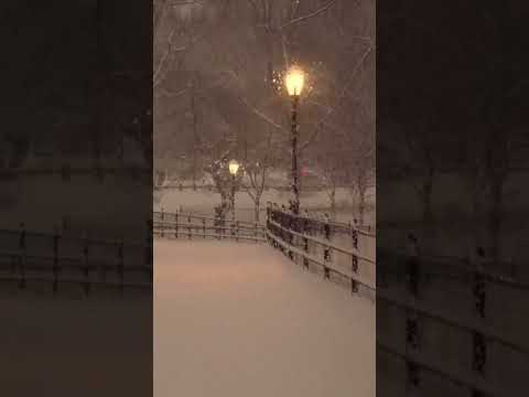 ليالي الشتاء الثلجية